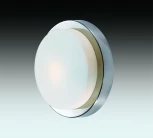 Настенно-потолочный светильник Odeon Light Holger 2746/1C