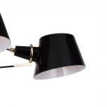 Потолочная люстра Favourite Eimer 1512-6P (220V)