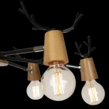 Потолочная люстра на штанге Loft IT Sven 10024/6 Black (220V, рога)