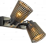 Спот Lussole Loft Erie LSP-9835