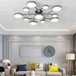 Потолочная люстра с пультом на штанге LED Lu Carte LC-11-1726