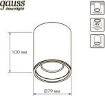 Накладной потолочный светильник Gauss HD030 12W 3000K (LED, 220V, круглые)