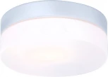 Потолочный светильник круглый Globo VRANOS 32111 (220V, IP44)