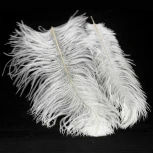 Подвесная люстра Cuscino GRLSP-8600 Lussole (220V, на проводе, перо)