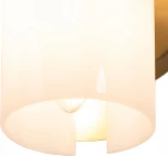 Бра Freya Fiore FR5368WL-02BS (220V, круглые)