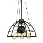 Подвесной светильник Lussole Loft Buffalo LSP-9994