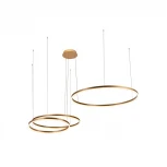 Подвесной светильник Loft IT Ring 10017/3S (LED, 220V, на тросе, кольцо)