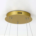 Подвесной светильник Favourite Giro 2937-10P