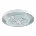 Потолочный светильник Favourite Incarnatio 2601-3C