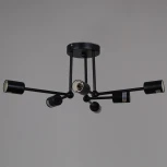 Потолочная люстра на штанге Reluce 01651-0.3-06 BK (220V)
