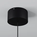 Подвесной светильник уличный IP54 LED Maytoni Apex O491PL-L8B3K (220V, на проводе, круглые)