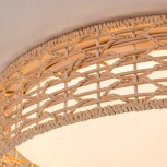 Потолочный светильник круглый LED F-Promo Conrad 4749-4C (регулировка яркости, 220V, пульт управления, круглые)