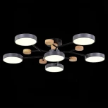 Потолочная люстра на штанге Evoluce Faema SLE6006-702-06