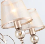 Подвесная люстра Favourite Teneritas 2553-5P