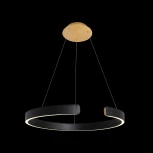 Подвесной светильник Loft IT Ring 10025/600 Black
