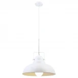 Подвесной светильник Arte Lamp Martin A5213SP-1WG (220V, на проводе, круглые)