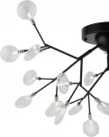 Люстра на штанге потолочная Florencia FR5049CL-27B (220V, лепестки)