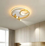 Потолочная люстра Мелодия Света SS1L 000057022