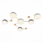 Потолочная люстра Evoluce Dossena SLE600102-06 (LED, 220V)