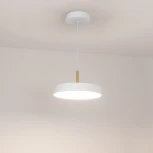 Подвесной светильник Arlight ELEGANT 033919