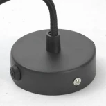 Подвесной светильник Lussole Loft Centereach LSP-9888 (220V, на проводе, IP21)