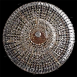 Подвесная люстра Chiaro Диана 340011409