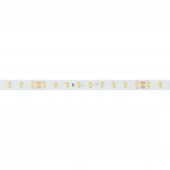 Светодиодная лента RT-A90-10mm 24V White6000 (4.8 W/m, IP20, 2835, 5m) (Arlight, высок.эфф.200 лм/Вт) 038779