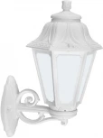 Настенный фонарь уличный Fumagalli Anna E22.131.000.WYF1R (220V, IP44)