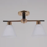 Потолочная люстра на штанге Reluce 09112-3.3-02 FG+BK