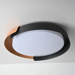 Круглый потолочный светильник с пультом LED Lu Carte LC-11-1733