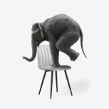 Стул на металлокаркасе Дани Мебрешения (Дани серый велюр velutto 52 / черный) Notta арт.572066