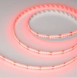 Светодиодная лента CSP-X840-12mm 24V RGBW-Day (17.2 W/m, IP20, 5m) (Arlight, 5 лет) 046936