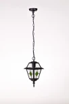 Уличный светильник подвесной Oasis Light 91105 lgG Bl