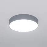 Потолочный светильник круглый Eurosvet Entire 90319/1 серый (регулировка яркости, LED, 220V, пульт управления, круглые)