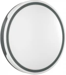 Настенно-потолочный светильник Sonex Avella 3051/EL