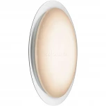 Потолочный светильник круглый Globo Optima 41310-60 (LED, 220V, пульт управления)