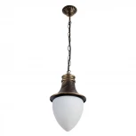 Уличный светильник подвесной Arte Lamp Vienna A1317SO-1BN