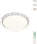 Потолочный светильник Cany DK6516-WH/1