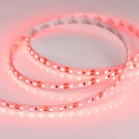 Светодиодная лента RT 2-5000 12V Red 2x (3528, 600 LED, LUX) (Arlight, 9.6 Вт/м, IP20) 012329(B)