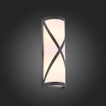 Настенный светильник уличный ST Luce Agio SL076.411.01 (220V, IP54)