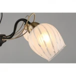 Потолочная люстра Omnilux 655 OML-65507-05