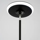 Торшер на гибкой ножке для чтения RGB Citilux Click CL810021 (LED, 220V, пульт управления, сенсорный выключатель)