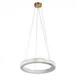 Подвесной светильник светодиодный кольцо Loft It Mondrian 10408/600 (220V, на тросе, кольцо)