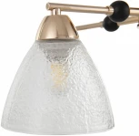 Потолочная люстра на штанге Arte Milano Napoli 324119/5 FG+BK (220V)