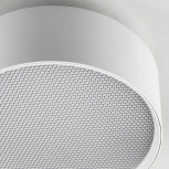 Накладной потолочный светильник Lightstar Acuto 215946 (LED, 220V, круглые)