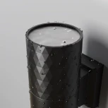 Настенный светильник уличный Maytoni Bowery O583WL-01B (220V, IP54)