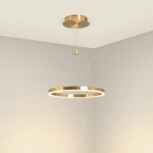 Светильник SP-CONGO-CAN-1-R400-24W Day4000 (GD, 120 deg, 230V) (Arlight, IP20 Металл) 046210