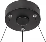 Подвесной светильник светодиодный Citilux Trio CL215B051 (регулировка яркости, 220V, пульт управления, кольцо)