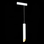 Трековый светильник однофазный 220V Skyline 220 ST508.513.01 ST Luce (круглые)