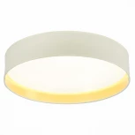 Потолочный светильник Brescia SLE300552-01 Evoluce